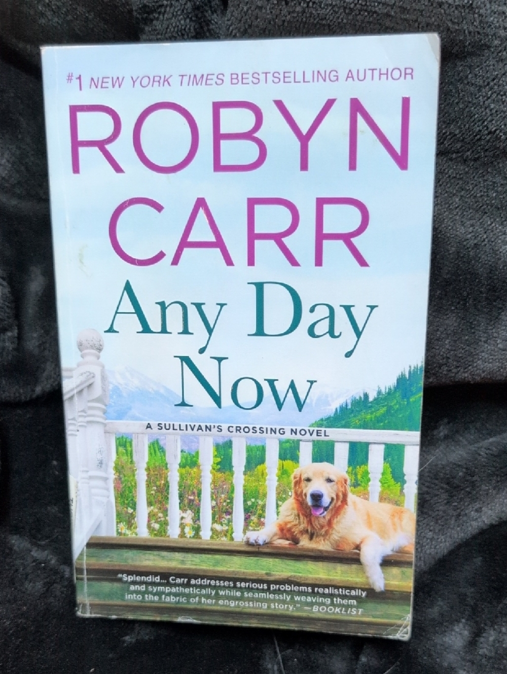 Robyn Carr Any Day Now Paperback Novel